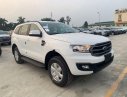 Ford Everest   2020 - Bán Ford Everest 2020, nhập khẩu nguyên chiếc