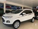 Ford EcoSport 2016 - Bán xe Ford EcoSport sản xuất 2016, màu trắng, xe nhập số tự động