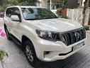 Toyota Land Cruiser   2019 - Bán Toyota Prado VX sản xuất 2019, xe nhà đi siêu lướt