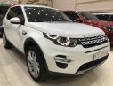 LandRover Discovery   2018 - Cần bán LandRover Discovery Sport HSE Luxury đời 2018, màu trắng, nhập khẩu  