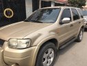 Ford Escape 2004 - Xe Ford Escape sản xuất năm 2004, màu vàng giá cạnh tranh