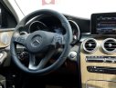 Mercedes-Benz C class   C250 2016 - Bán ô tô Mercedes C class năm sản xuất 2016