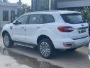 Ford Everest Titanium 2.0L 2019 - Tây Ninh Ford - Cần bán xe Ford Everest Titanium 2.0L năm sản xuất 2019, màu trắng