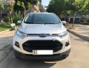 Ford EcoSport   2017 - Bán Ford EcoSport Trend 1.5L MT đời 2017, màu bạc, xe gia đình 