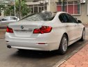 BMW 5 Series 2015 - Bán xe BMW 520i đời 2015, màu trắng, nhập khẩu