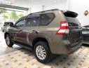 Toyota Prado 2015 - Bán Toyota Prado TXL 2.7 AT đời 2016, màu xám, xe nhập số tự động