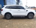 Ford Everest  2.0L Titanium 4x2  2019 - Bán xe Ford Everest 2.0L Titanium 4x2 sản xuất năm 2019, màu trắng, nhập khẩu nguyên chiếc