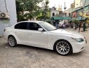 BMW 5 Series  530i 2006 - Bán ô tô BMW 5 Series 530i 2006, màu trắng, xe nhập