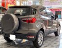 Ford EcoSport 2015 - Cần bán gấp Ford EcoSport đời 2015, màu nâu chính chủ, giá tốt