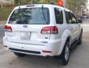 Ford Escape   2010 - Bán Ford Escape XLS 2.3L 4x2 AT năm sản xuất 2010, màu trắng, số tự động  