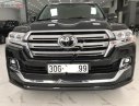 Toyota Land Cruiser 5.7 V8 2019 - Bán Toyota Land Cruiser 5.7 V8 sản xuất năm 2019, màu đen, nhập khẩu