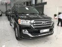 Toyota Land Cruiser 5.7 V8 2019 - Bán Toyota Land Cruiser 5.7 V8 sản xuất năm 2019, màu đen, nhập khẩu