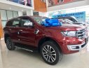 Ford Everest 2019 - Hỗ trợ giao xe nhanh toàn quốc chiếc xe Ford Everest Titanium 2.0 AT 4WD, sản xuất 2019, nhập khẩu