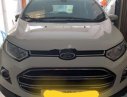 Ford EcoSport 2015 - Cần bán Ford EcoSport đời 2015, màu trắng, xe nhập xe gia đình, giá tốt