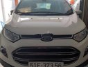 Ford EcoSport 2015 - Cần bán Ford EcoSport đời 2015, màu trắng, xe nhập xe gia đình, giá tốt