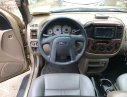 Ford Escape 3.0 V6 2003 - Bán Ford Escape 3.0 XLT đời 2003, màu vàng, số tự động, giá tốt