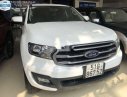 Ford Everest   2018 - Cần bán lại xe Ford Everest đời 2018, màu trắng, nhập khẩu, giá tốt