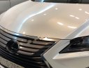 Lexus RX 2019 - Cần bán xe Lexus RX sản xuất năm 2019, màu trắng, nhập khẩu