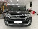 Toyota Land Cruiser 2019 - Bán Toyota Land Cruiser đời 2019, màu đen, xe nhập