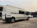 Ford Transit 2008 - Cần bán gấp Ford Transit đời 2008, màu trắng