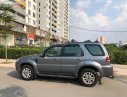 Ford Escape 2010 - Bán xe Ford Escape sản xuất 2010, màu xám đã đi 50000 km