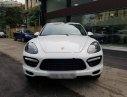 Porsche Cayenne 3.6 V6 2013 - Cần bán lại xe Porsche Cayenne 3.6 V6 2013, màu trắng, nhập khẩu nguyên chiếc