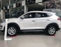 Hyundai Tucson 2019 - Bán Hyundai Tucson đời 2019, màu trắng, nhập khẩu, giá chỉ 799 triệu