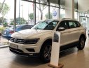 Volkswagen Tiguan   2018 - Hỗ trợ giao xe nhanh toàn quốc chiếc xe Volkswagen Tiguan Allspace, đời 2019, nhập khẩu nguyên chiếc