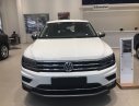 Volkswagen Tiguan   2018 - Hỗ trợ giao xe nhanh toàn quốc chiếc xe Volkswagen Tiguan Allspace, đời 2019, nhập khẩu nguyên chiếc