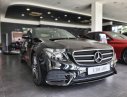 Mercedes-Benz E class   E300  2019 - Cần bán lại xe Mercedes E300 sản xuất năm 2019, màu đen