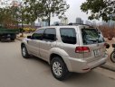 Ford Escape Xls 2010 - Bán Ford Escape Xls năm sản xuất 2010, màu hồng giá cạnh tranh