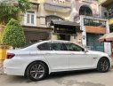 BMW 5 Series 2013 - Bán BMW 5 Series năm 2013, màu trắng, nhập khẩu đã đi 53000km, 968 triệu