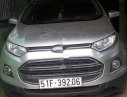 Ford EcoSport 2016 - Bán ô tô Ford EcoSport đời 2016, màu bạc, nhập khẩu nguyên chiếc