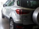 Ford EcoSport 2016 - Bán ô tô Ford EcoSport đời 2016, màu bạc, nhập khẩu nguyên chiếc