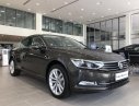 Volkswagen Passat 2017 - Xe "nhập" Đức Passat High Bluemotion (Bản cao nhất), miễn thuế trước bạ, hotline: 090 68768 54