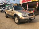 Ford Escape   2004 - Cần bán lại xe Ford Escape 3.0V 2004, màu vàng, số tự động