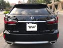 Lexus RX   2017 - Cần bán xe Lexus RX 300 năm sản xuất 2017, nhập khẩu nguyên chiếc