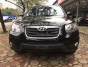 Hyundai Santa Fe   2010 - Cần bán Hyundai Santa Fe 2010, xe nhập