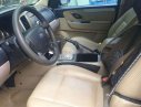 Ford Escape    AT 2008 - Cần bán lại xe Ford Escape AT sản xuất 2008, xe nhập 