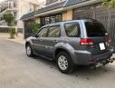 Ford Escape 2010 - Cần bán gấp Ford Escape 2010, màu xám đã đi 50000 km