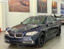 BMW 5 Series 2016 - Bán BMW 5 Series sản xuất 2016, màu xanh lam, xe nhập