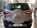 Ford EcoSport   2020 - Bán ô tô Ford EcoSport sản xuất 2020 giá tốt