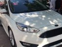 Ford Focus 2016 - Bán Ford Focus đời 2016, màu trắng, 633 triệu
