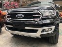 Ford Everest Titanium 2.0L 2019 - Thủ tục giao xe nhanh - Giá bán hữu nghị: Ford Everest Titanium 2.0L sản xuất năm 2019, màu đen