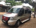 Ford Transit 2010 - Bán Ford Transit sản xuất năm 2010, màu bạc