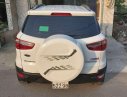 Ford EcoSport 2017 - Bán xe Ford EcoSport đời 2017, màu trắng