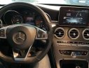 Mercedes-Benz C class C300  2015 - Bán Mercedes C300 đời 2015 xe gia đình