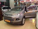 Ford EcoSport 2014 - Cần bán xe Ford EcoSport Trend 1.5L AT đời 2014, màu xám số tự động