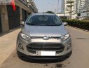 Ford EcoSport 2017 - Cần bán xe Ford EcoSport năm sản xuất 2017, màu bạc xe gia đình