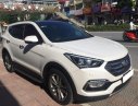 Hyundai Santa Fe AT 2017 - Bán xe Hyundai Santa Fe AT 2017, màu trắng, nhập khẩu xe gia đình